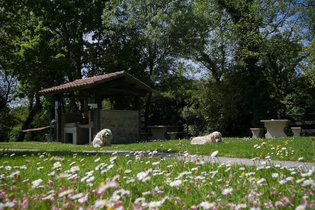 Aldea Os Muinos Konuk evi As Mirans Dış mekan fotoğraf